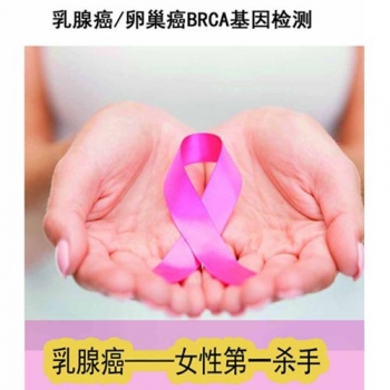 brca1抗體試劑(免疫組織化學法)